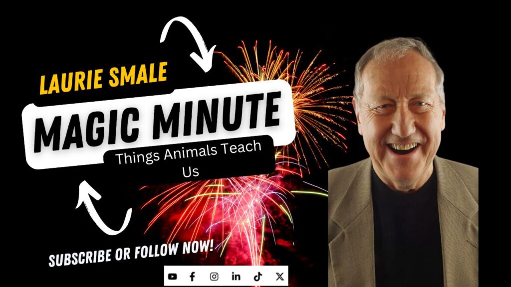 Things Animals Teach Us Laurie Smale Magic Minute